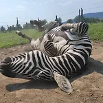 Gyulavezer Lovasbirodalma 3* Gyulakeszi