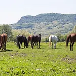 Panzió Gyulavezér Lovasbirodalma 3*
