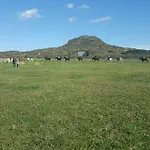 Gyulavezer Lovasbirodalma 3* Gyulakeszi