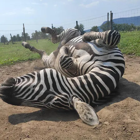 Gyulavezer Lovasbirodalma 3* Gyulakeszi