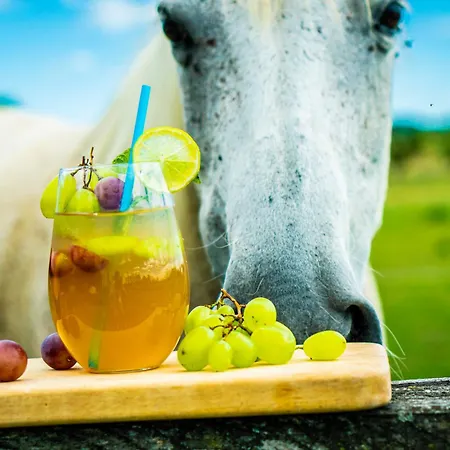 Gyulavezer Lovasbirodalma 3*