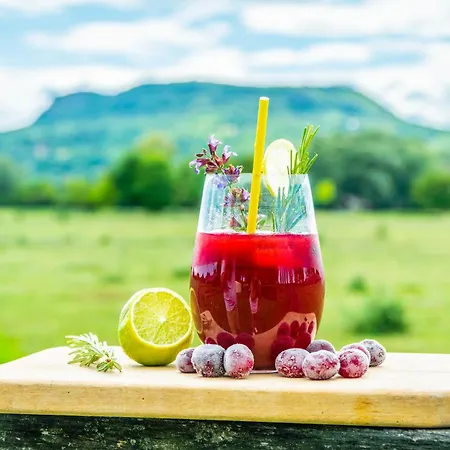 ベッド・アンド・ブレックファスト Gyulavezer Lovasbirodalma