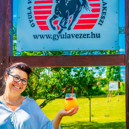 Panzió Gyulavezér Lovasbirodalma 3*