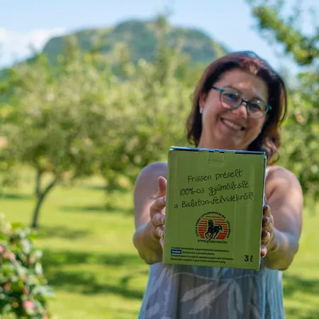 Gyulavezér Lovasbirodalma 3* Gyulakeszi