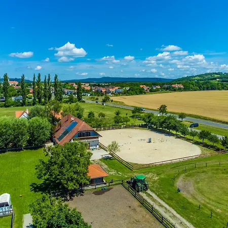 Gyulavezer Lovasbirodalma Bed & Breakfast *