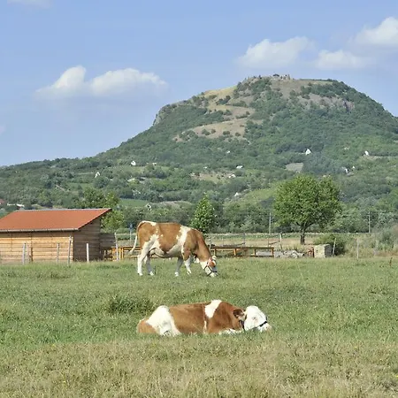 Gyulavezer Lovasbirodalma 3* Gyulakeszi