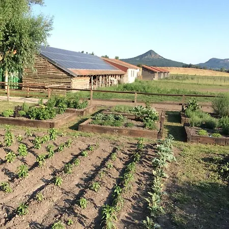 Gyulavezer Lovasbirodalma Bed & Breakfast Gyulakeszi