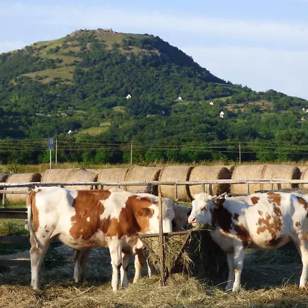 ベッド・アンド・ブレックファスト Gyulavezer Lovasbirodalma