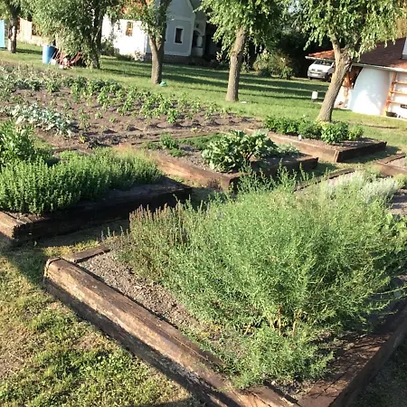 Gyulavezér Lovasbirodalma