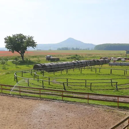 Gyulavezér Lovasbirodalma