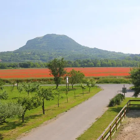 Gyulavezer Lovasbirodalma Bed & Breakfast