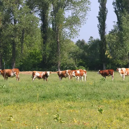 ベッド・アンド・ブレックファスト Gyulavezer Lovasbirodalma 3*