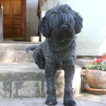 Gyulavezér Lovasbirodalma Panzió 3*