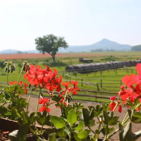 Bed & Breakfast Gyulavezer Lovasbirodalma *