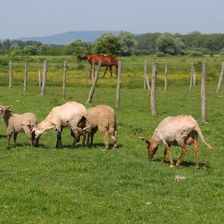 Gyulavezer Lovasbirodalma ベッド・アンド・ブレックファスト 3*