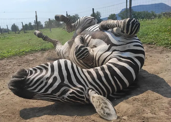 Gyulavezer Lovasbirodalma 3* Gyulakeszi