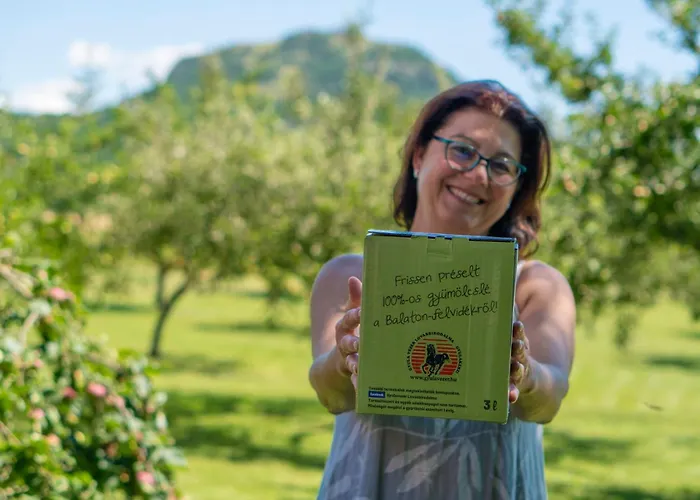 Gyulavezer Lovasbirodalma 3* Gyulakeszi