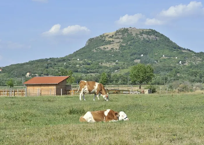 Gyulavezér Lovasbirodalma 3* Gyulakeszi