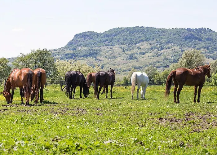 Frühstückspension Gyulavezer Lovasbirodalma 3*