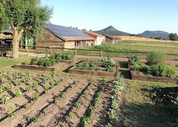 Gyulavezer Lovasbirodalma Frühstückspension Gyulakeszi