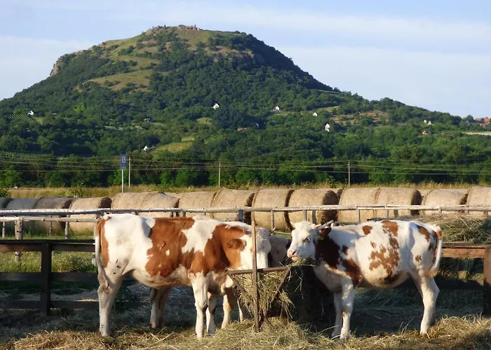 Frühstückspension Gyulavezer Lovasbirodalma