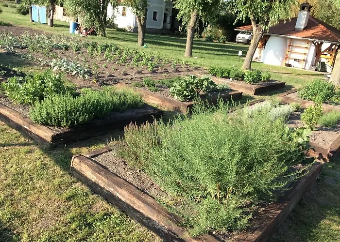 Gyulavezér Lovasbirodalma