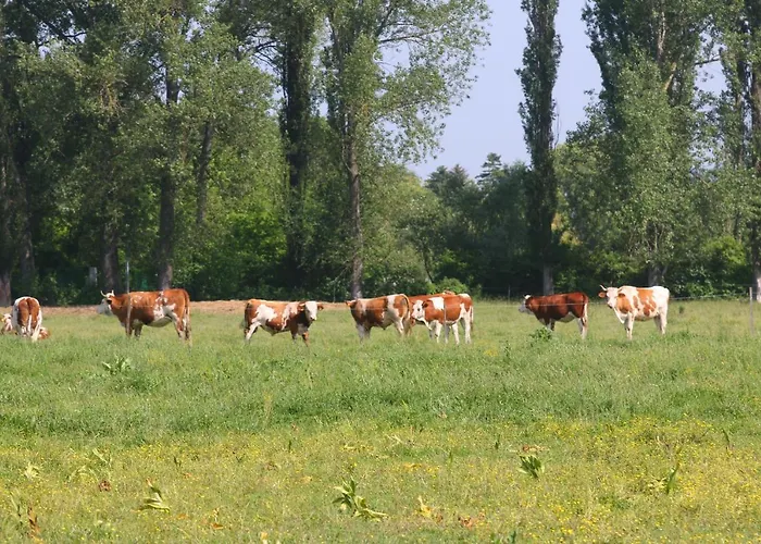 Bed and breakfast Gyulavezér Lovasbirodalma 3*